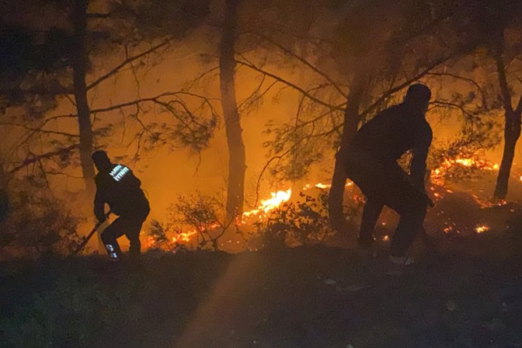 Hatay'da havai fişek ormanda yangına neden oldu