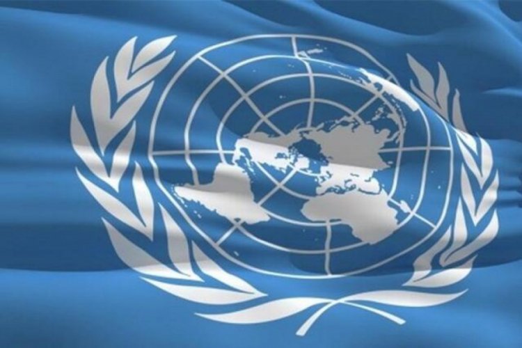 Birleşmiş Milletler diplomatı ölü bulundu