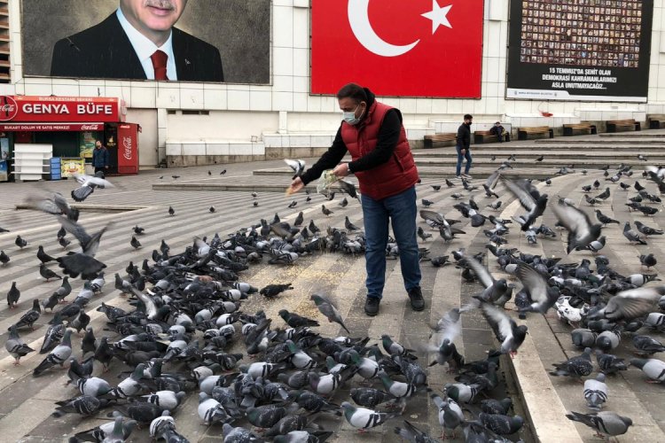 Bursa'da Başkan, kısıtlamada sokakta aç kalan hayvanları besledi