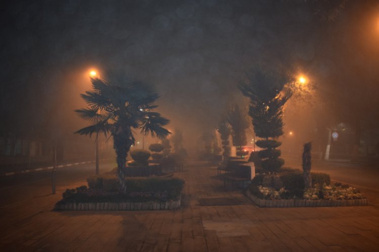 Malatya'da yoğun sis kartpostallık görüntüler oluşturdu