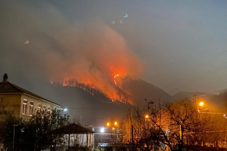 Rusya'da yeni yıl kutlamalarında atılan havai fişekler orman yangınına neden oldu