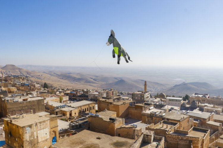 Mardin'de 3 boyutlu 'kadrolu eşek' uçurtmalar