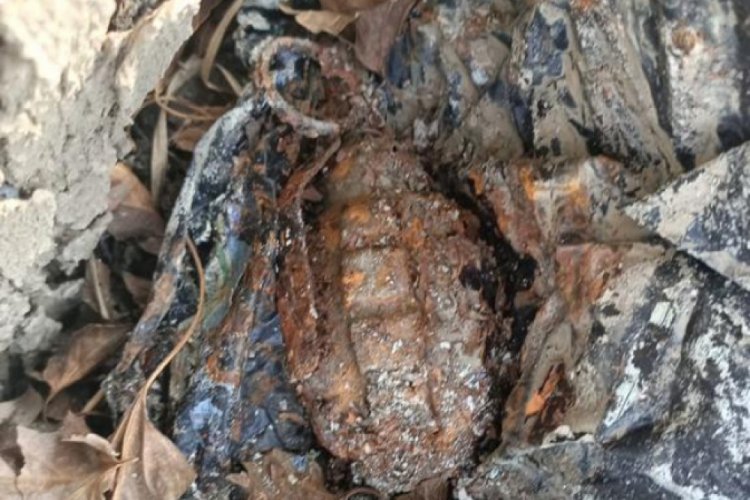 Adana'da ağaç kovuğuna gizlenmiş el bombası ele geçirildi