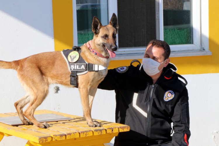'Hassas burunlu' köpekler yine Türkiye rekoru kırdı