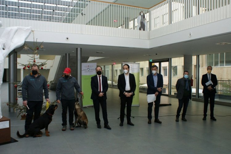 İtalya'da köpekler, okullarda Covid-19 taraması yapacak