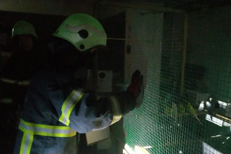 Havalandırma fanı yanan depodaki 80 muhabbet kuşunu itfaiye kurtardı