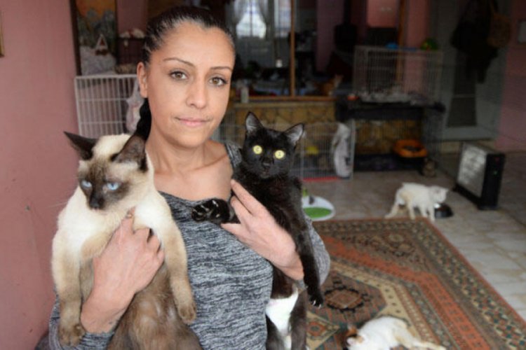 Yavru kedileri poşete koyup ölüme terk ettiler Güncel Haberler