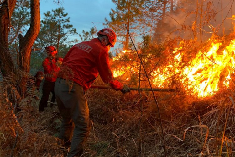 Doğu Karadeniz'de 4 ilde çıkan orman yangınları söndürüldü