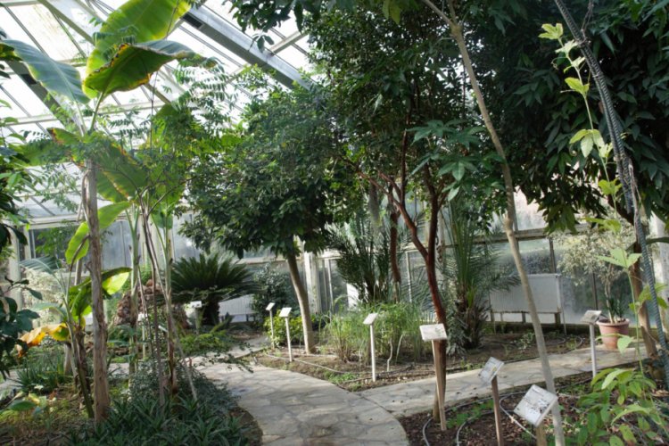 Türkiye'nin ilk 'Tıbbi Bitkiler Bahçesi'