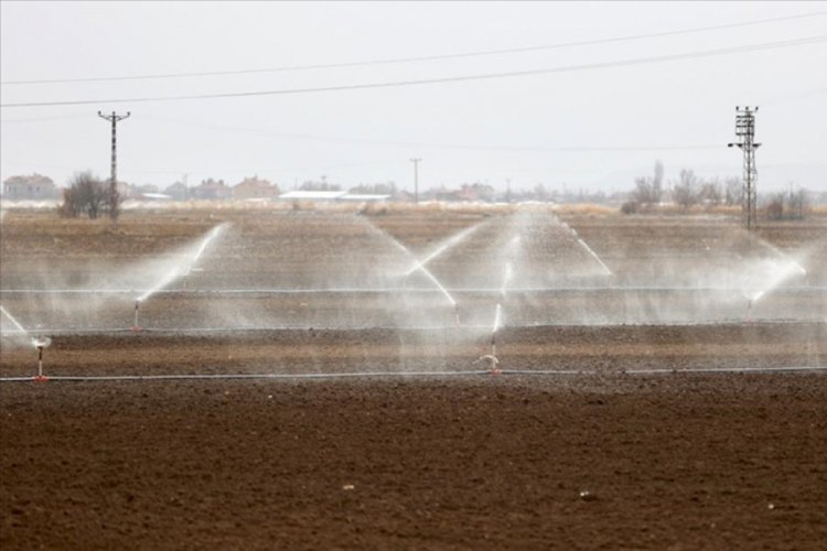 Türkiye'nin 'tahıl ambarında' kuraklık nedeniyle çiftçiler sulamaya kış ortasında başladı