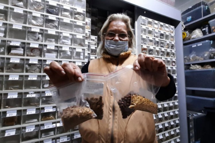 60 yılda bin 200 ata tohum toplayıp tohum bankası kurdu