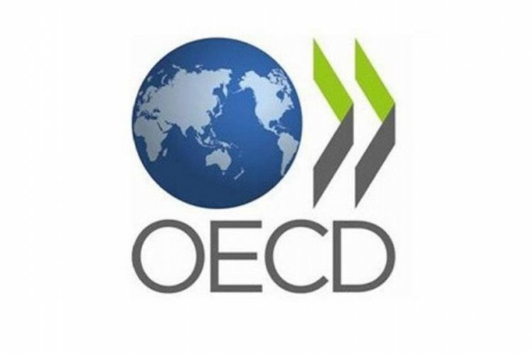 OECD, 2020 Türkiye daralma beklentisini revize etti
