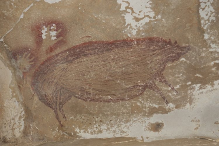 Endonezya'da dünyanın en eski mağara çizimi keşfedildi