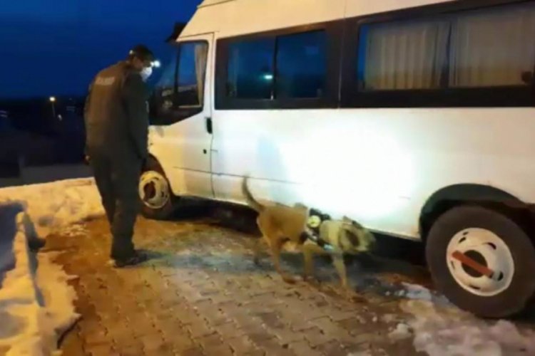 &Ccedil;antalardaki 51 kilo eroini 'Şila' buldu