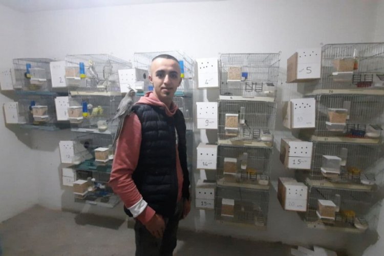 Evinin damında beslediği papağanları satarak gelir sağlıyor