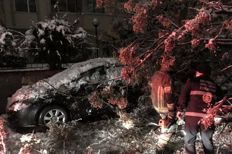 Bursa'da kar yağışı ağacı devirdi