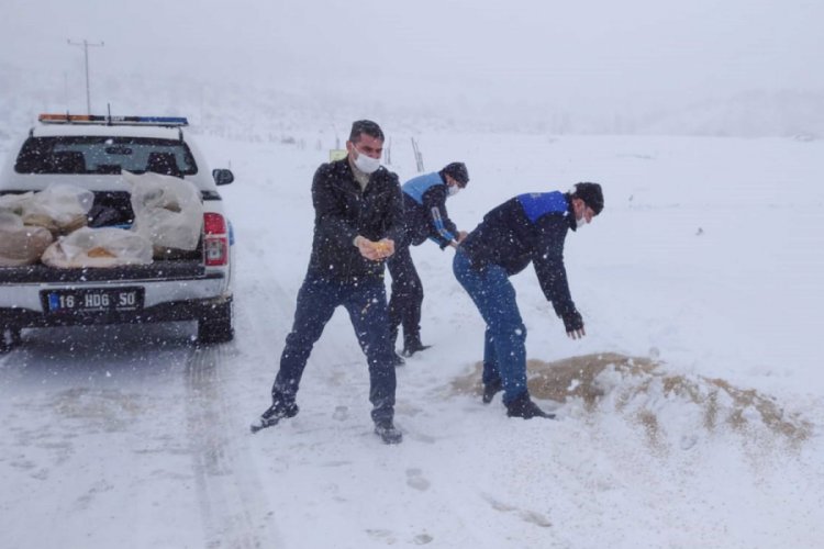 Bursa Karacabey'de karla mücadele