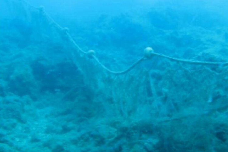 Hayalet ağlar çürümeden denizde 600 yıl kalıyor