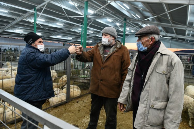 Bursa'da hayvan pazarında üreticilerin yüzü gülüyor