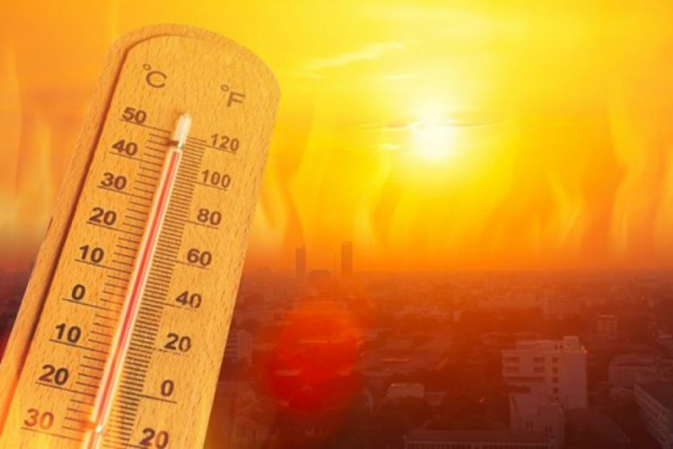 Türkiye'de son 50 yılın üçüncü en sıcak senesi 2020 oldu