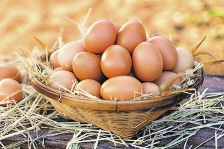 Yumurta üretimi düşünce fiyatları arttı