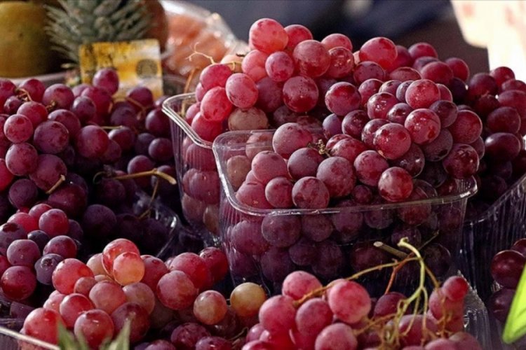 Gıda ihracatı ilk kez 20 milyar doları aşacak