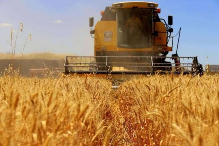 TZOB Başkanı Bayraktar: Tarımsal üretim sekteye uğratılmamalı