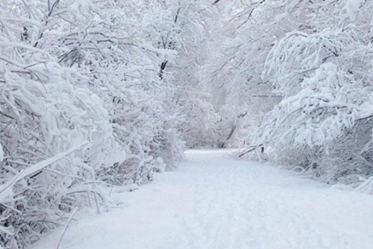 Meteoroloji Bursa dahil 36 il için kar uyarısı yaptı