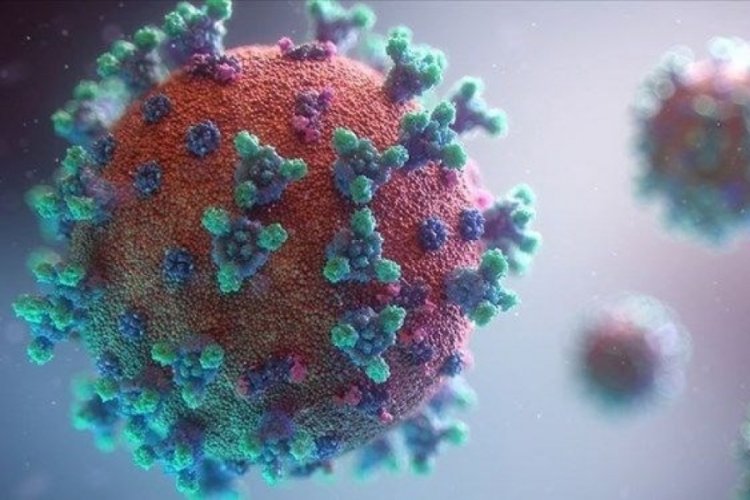 Mutasyonları tespit eden test sistemi geliştirildi
