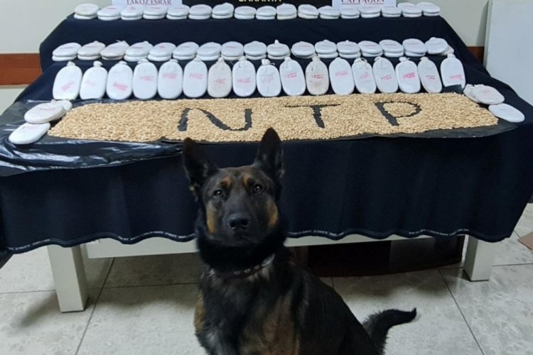 Doğudan batıya uzanan uyuşturucu sevkiyatına polis engeli