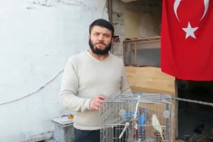 Bursa Orhangazi'de ka&ccedil;an muhabbet kuşları i&ccedil;in itfaiye seferber oldu