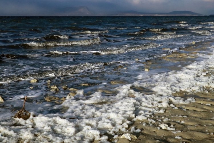 Burdur G&ouml;l&uuml;'n&uuml;n k&ouml;p&uuml;rmesi endişe yarattı