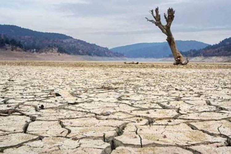 Kuraklığa karşı uygulanan sıra dışı y&ouml;ntemler