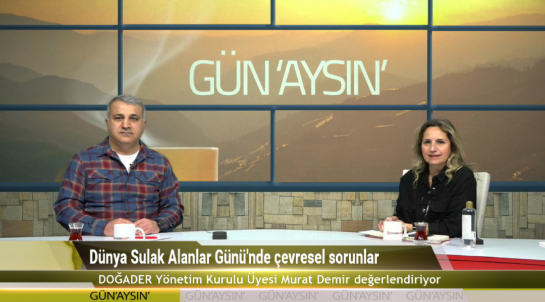 D&uuml;nya Sulak Alanlar G&uuml;n&uuml;'nde &ccedil;evresel sorunlar