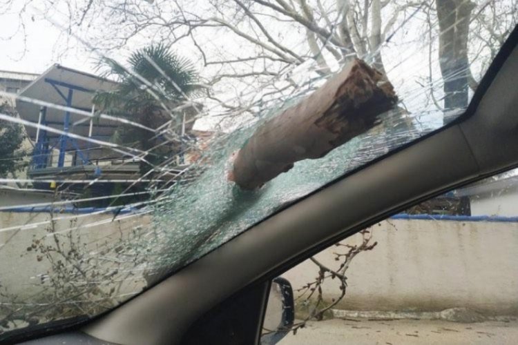 Bursa'da devrilen ağa&ccedil; otomobilin camına ok gibi saplandı