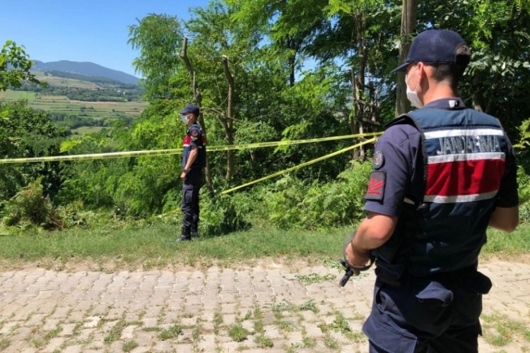 Budanan ağa&ccedil; i&ccedil;in kardeşi ve yeğenini &ouml;ld&uuml;rd&uuml;, m&uuml;ebbet ve 25 yıl hapse &ccedil;arptırıldı