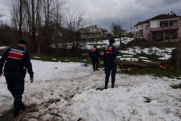 Kestiği ağacın altında kalarak hayatını kaybetti