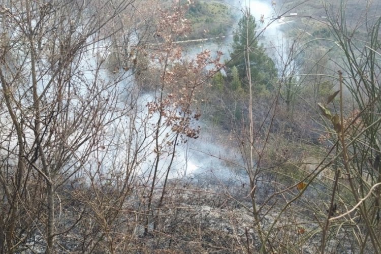 Sinop'ta anız yangını: 1 yaralı