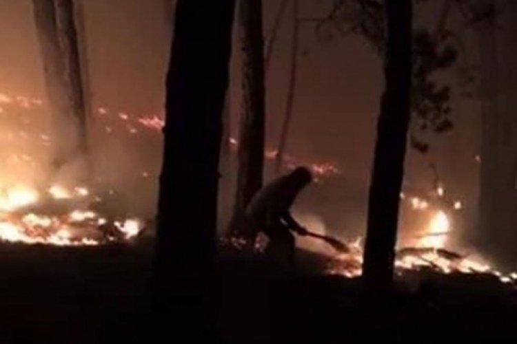 Kastamonu'da orman yangını