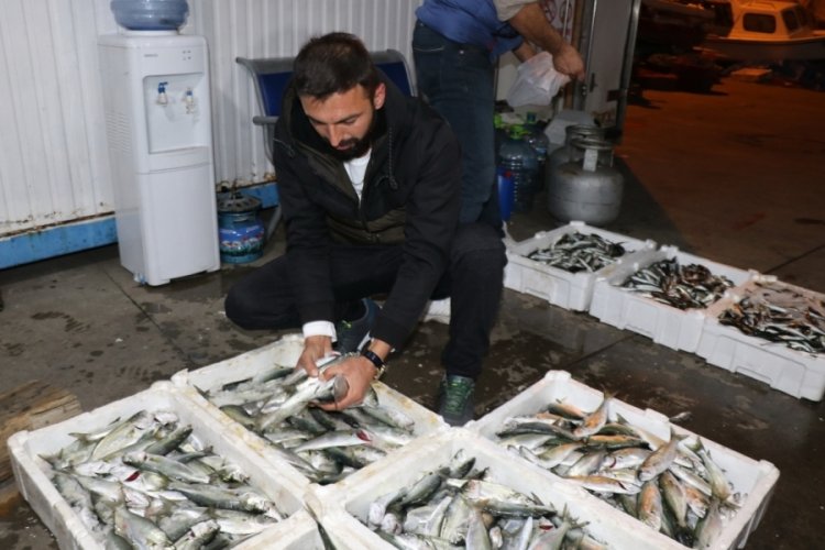 Zonguldak'ta balık&ccedil;ılar limana 2 bin kasa balıkla d&ouml;nd&uuml;