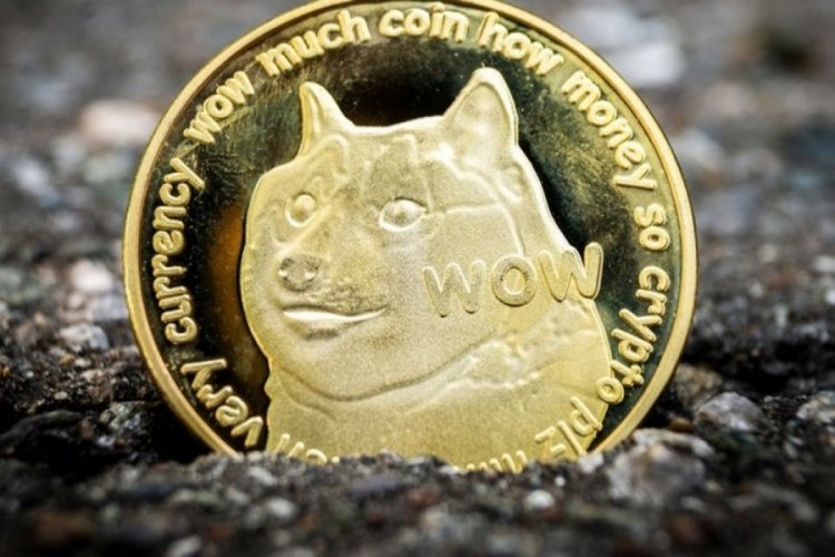 Elon Musk "Dogecoin"le geri döndü - Dünyadan Haberler ...