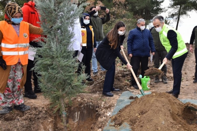 Bursa'da Sağlık Kahramanları Hatıra Ormanı oluşturuldu