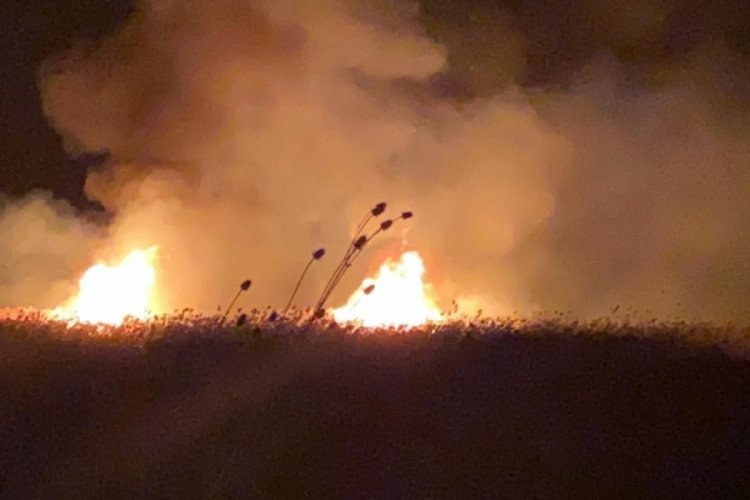 Bursa İznik'te sazlıklarda ikinci yangın