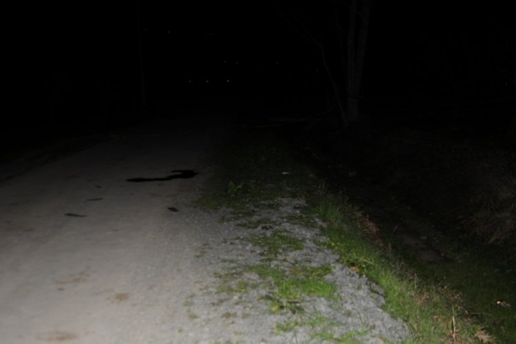 Yol kenarında başından vurulmuş erkek cesedi bulundu