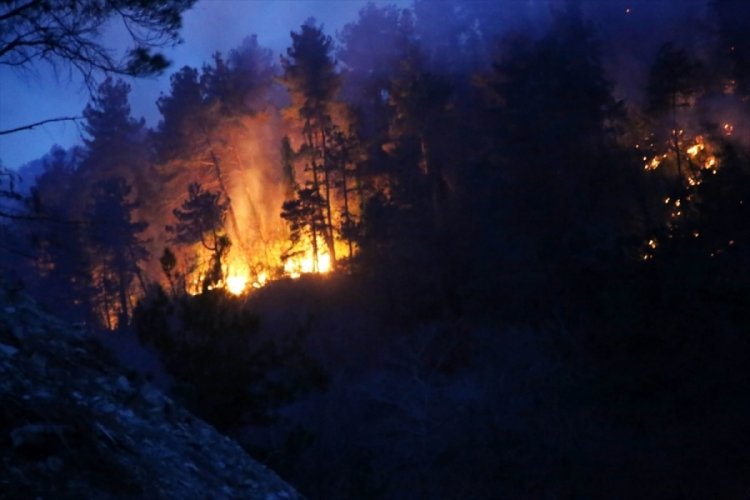Kastamonu'da orman yangını mahalleye sı&ccedil;radı
