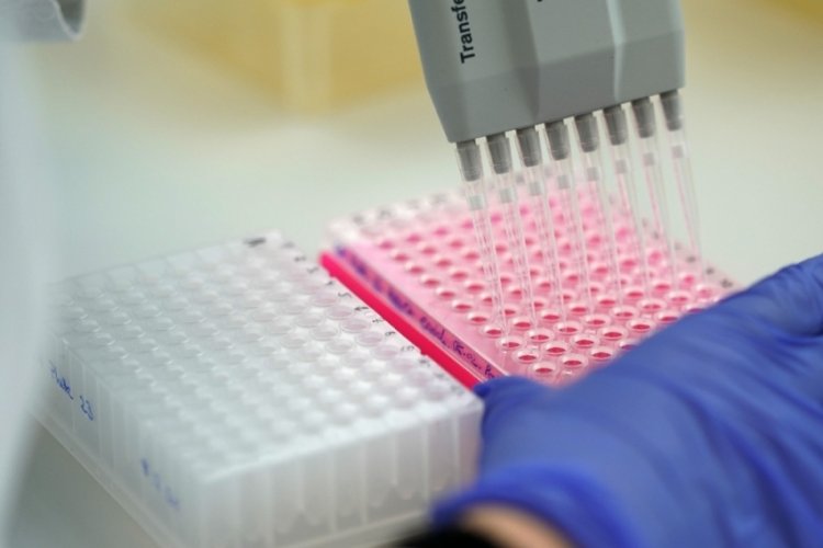 Almanya'da korona vir&uuml;sten 481 &ouml;l&uuml;m