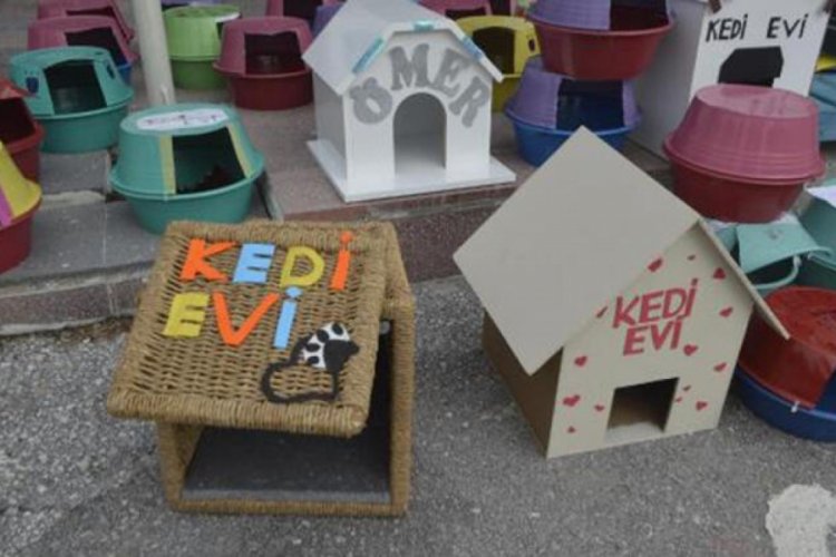 İlkokul &ouml;ğrencileri sokak kedileri i&ccedil;in yuva yaptı