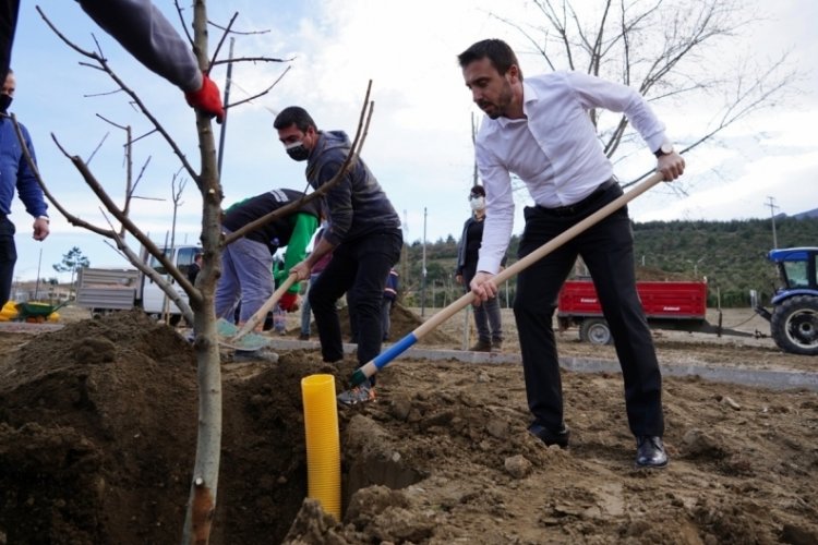 Bursa'da Naim S&uuml;leymanoğlu Parkı'nın ilk meyve ağa&ccedil;ları Başkan Tanır'dan