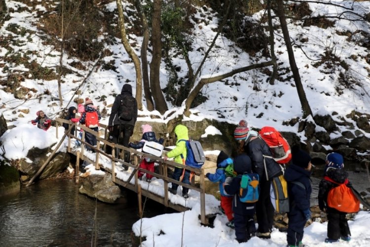Bursa'da &ccedil;ocuğunu sınıf ortamından uzak tutmak istedi, 'orman okulu' kurdu
