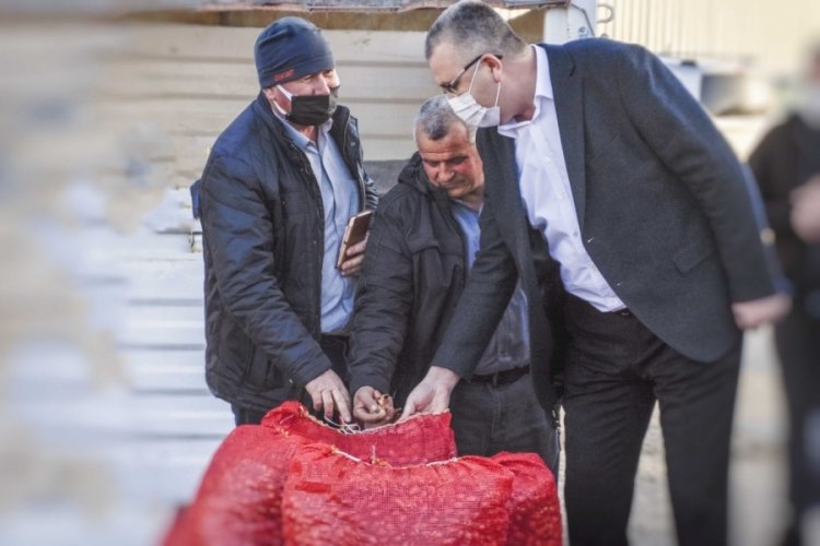 Bursa Karacabey'in kırmızı soğanı koronadan koruyor